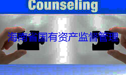 有福接受审理委员会党委副书记王海南省国有资产监督管查调查